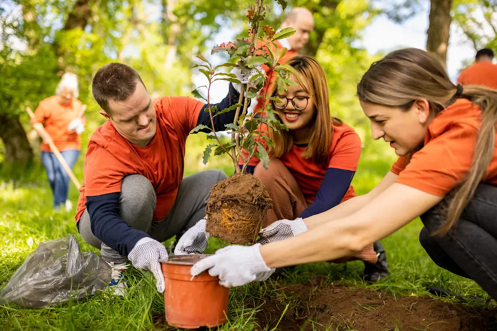 Mai multe persoane lucrează împreună în aer liber pentru a planta un copac într-o zonă de parc însorită și cu iarbă.