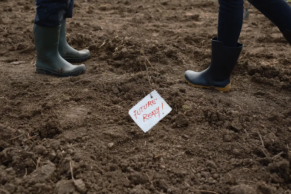 În luna aprilie Henkel Romania a dat startul activităților sale sustenabile și de voluntariat din anul 2026