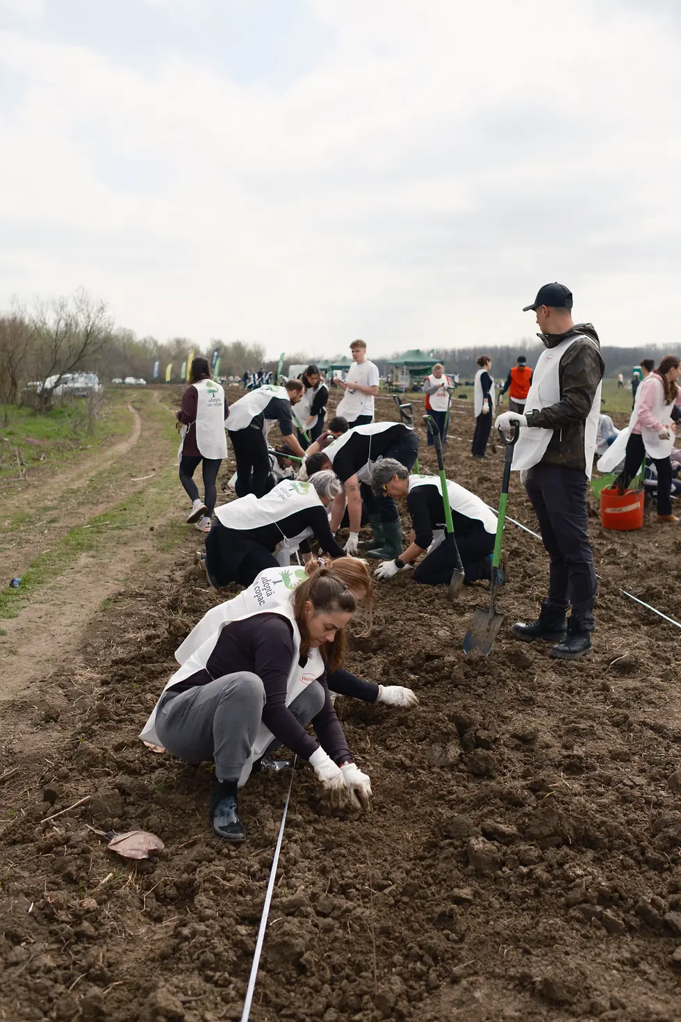 În luna aprilie Henkel Romania a dat startul activităților sale sustenabile și de voluntariat din anul 2026